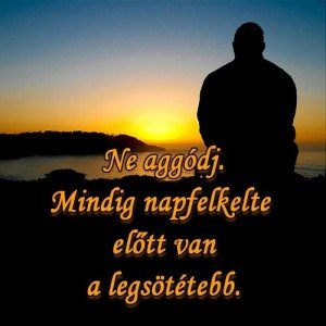 d0defb4df60102a84f68e96dc9574cfe